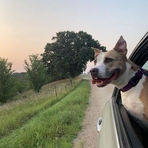 Meet your Posher, Heather